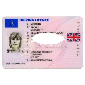 Driving licence photograph affected by flash or glare